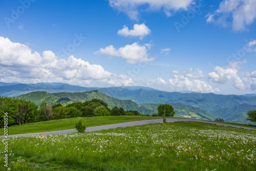 Fototapeta Naklejka Na Ścianę i Meble -  Isolated road in the countryside in spring time around Genoa (Genova) province, Italy.