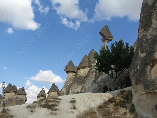 Mushrooms of Cappadocia. Göreme