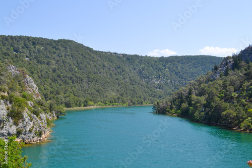 River valley background with green forests and blue water
