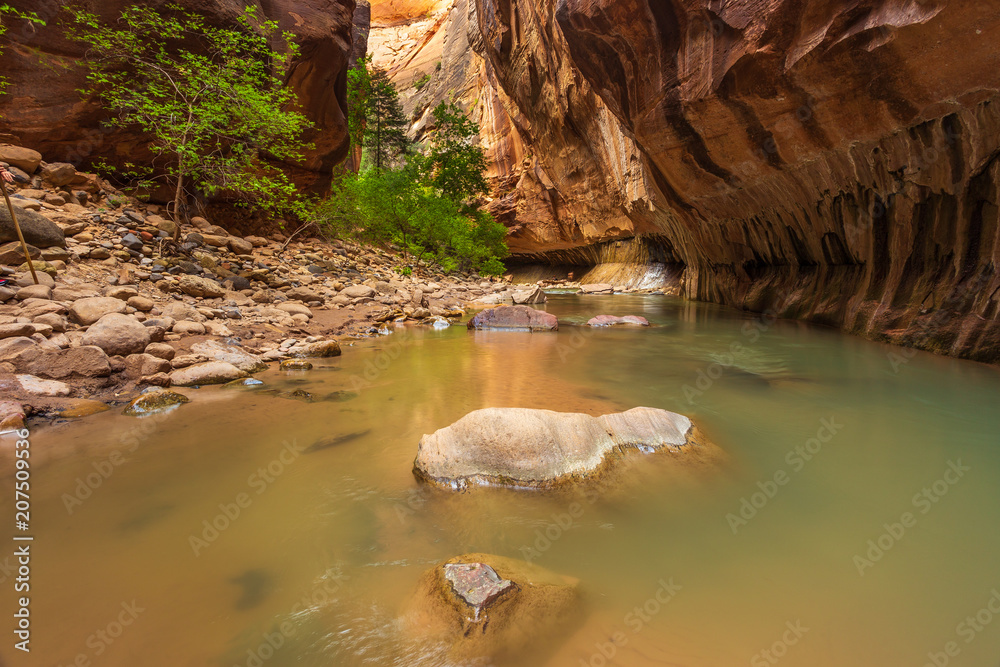 Fototapeta premium Rocks in the Virgin River Narrows in Zion National Park.