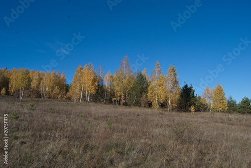 autumn nature in russia