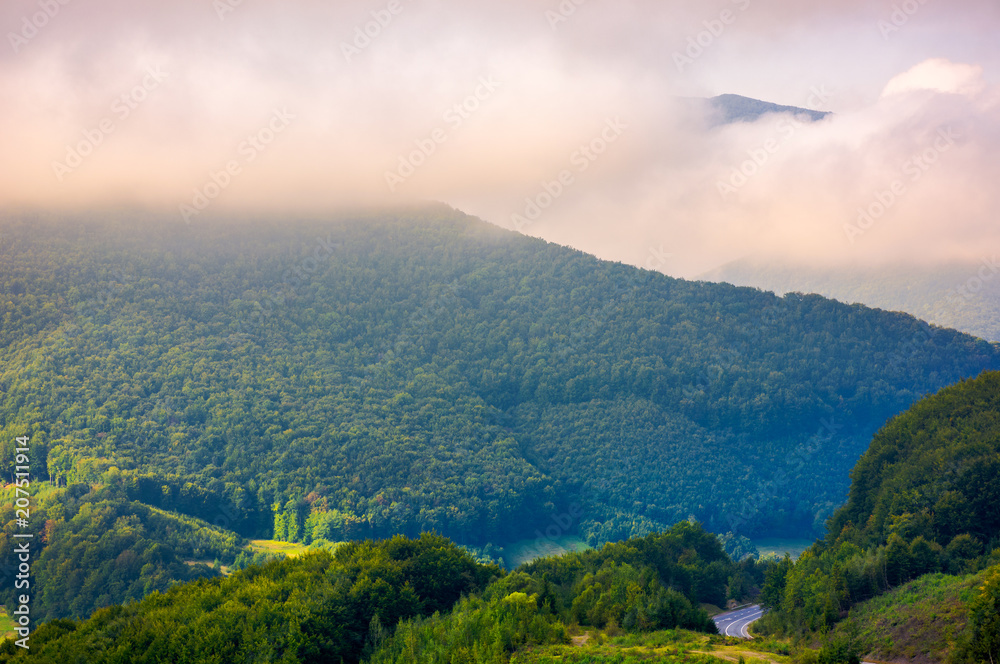 Naklejka premium beautiful mountain landscape in low clouds. peak of the mountain in the distance among the clouds. beautiful morning landscape