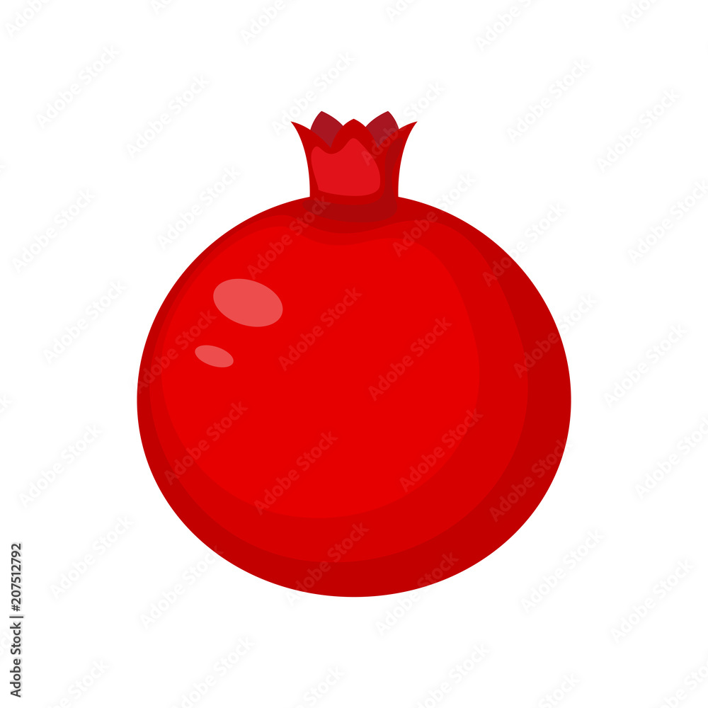 Pomegranate fruit vector illustration isolated on white backgro Pomegranate fruit vector illustration isolated on white backgro