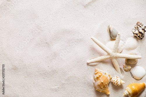 Summer beach with a lot of seashells, starfish and sand as background. Sea shells. Travel and summer concept.