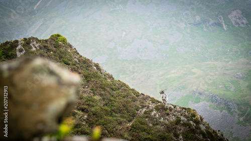 Snowdonia Hiking