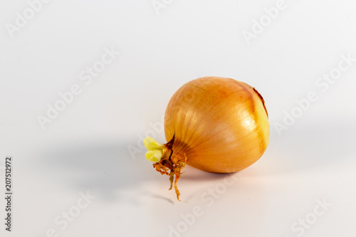 Single unpeeled onion in front of white background
