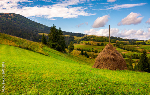 Photographie haystack on a grassy meadow in mountains