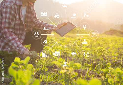 Leinwand Poster Landwirtschaftstechnologie-Landwirtmann, der Tablet-Computer-Analysedaten und Sichtikone verwendet