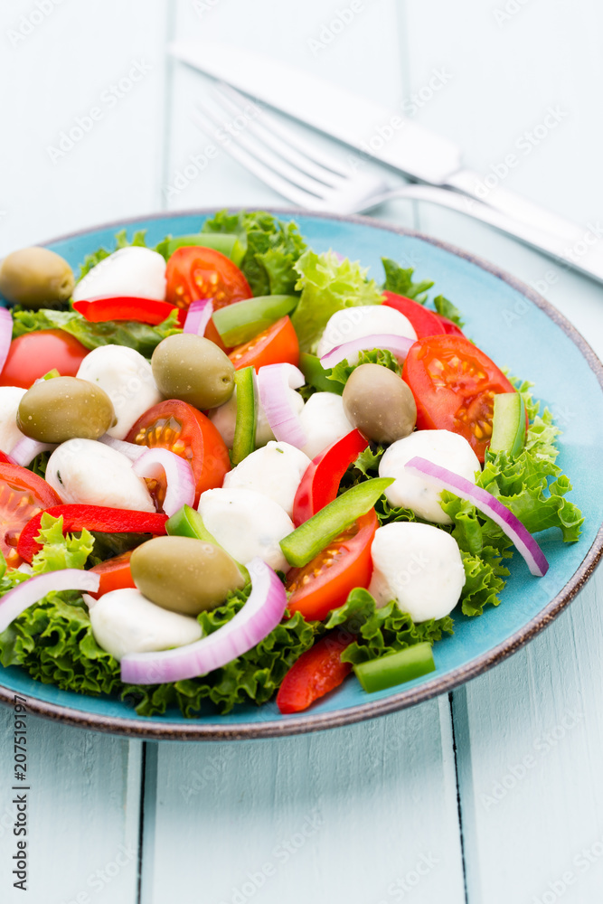 Vegetable salad with cheese mozzarella, tomatoes, basilikum and spice. Vegetable salad with cheese mozzarella, tomatoes, basilikum and spice.