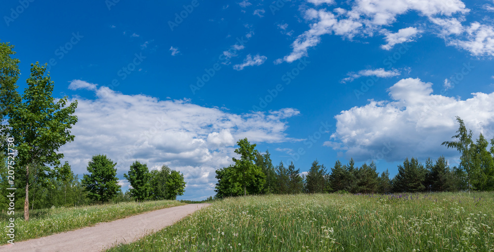 Empty Path Across Summer Meadow