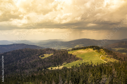 Beautiful panorama of the mountains with a meadow and a pine forest on the background of dramatic sky at sunset, far away the rain