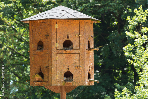 Photography Big Bird House for many birds