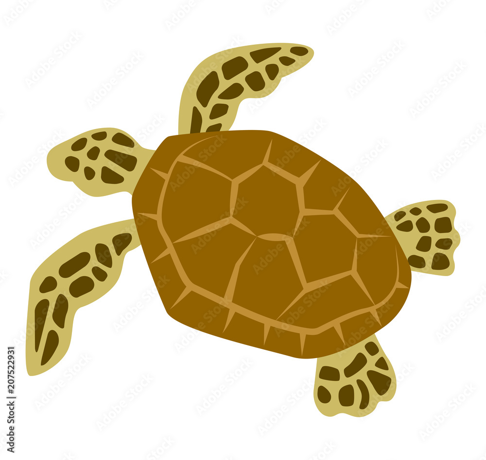 Fototapeta premium Sea turtle - sea life