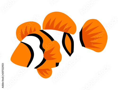 Tropical fish - Anemonefish