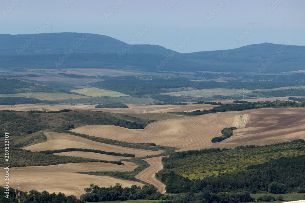 Felder in Ungarn