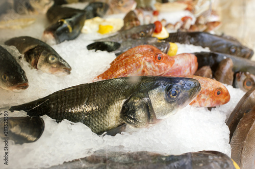 Fresh fish chilled on ice in supermarket. Fish iced for sale. Sea catch in shop or market. Seafood and food. Health diet and healthy dieting