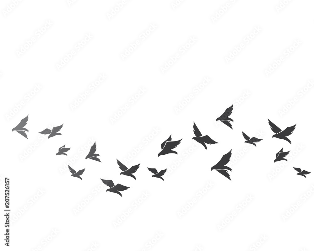 Fototapeta premium Bird background Template vector