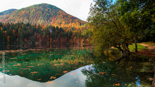 Autumn foliage at the alpine lake