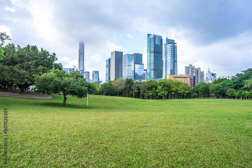 green lawn with city skyline in park