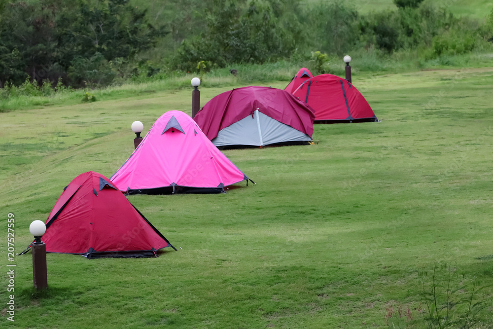 Campsite and tents on the lawn with beautiful green nature landscapes Campsite and tents on the lawn with beautiful green nature landscapes