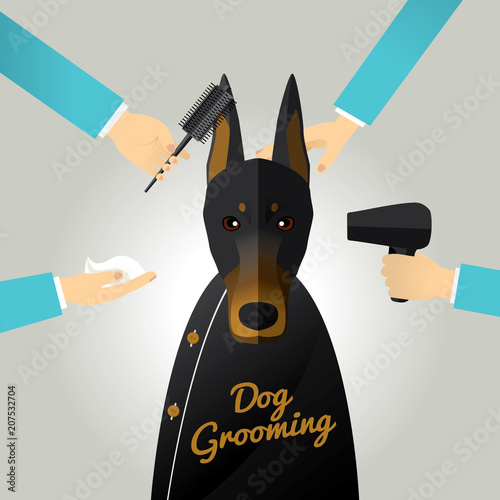 Doberman getting groomed at pet grooming salon.