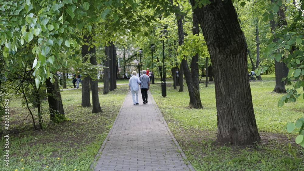 Green Nature in Moscow Green Nature in Moscow