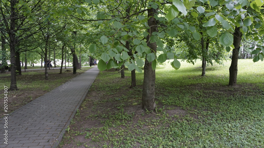 Green Nature in Moscow