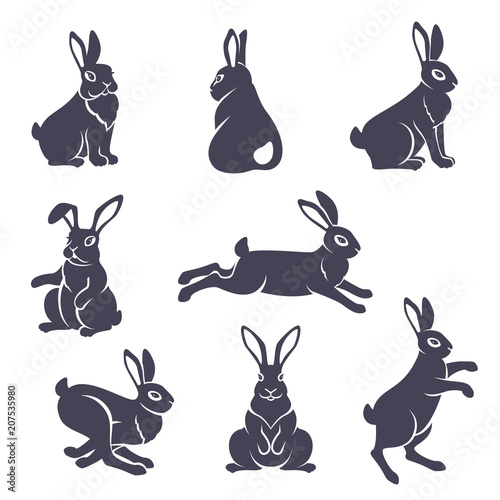 Cute rabbits silhouettes