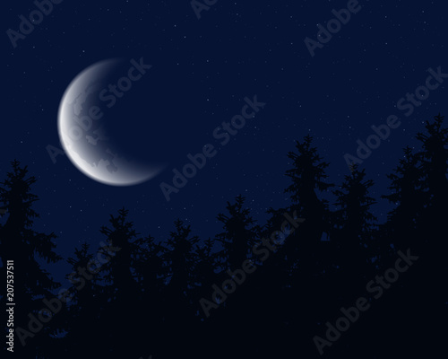 Night sky with stars and moon over peaks of coniferous trees