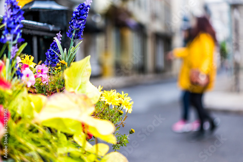 Colorful flower create closeup of vibrant calibrachoa and muscari flowers on restaurant railing with bokeh of people walking © Andriy Blokhin