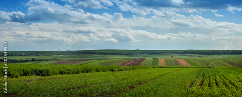 landscape with agricultural crops a nd cloiudly sky