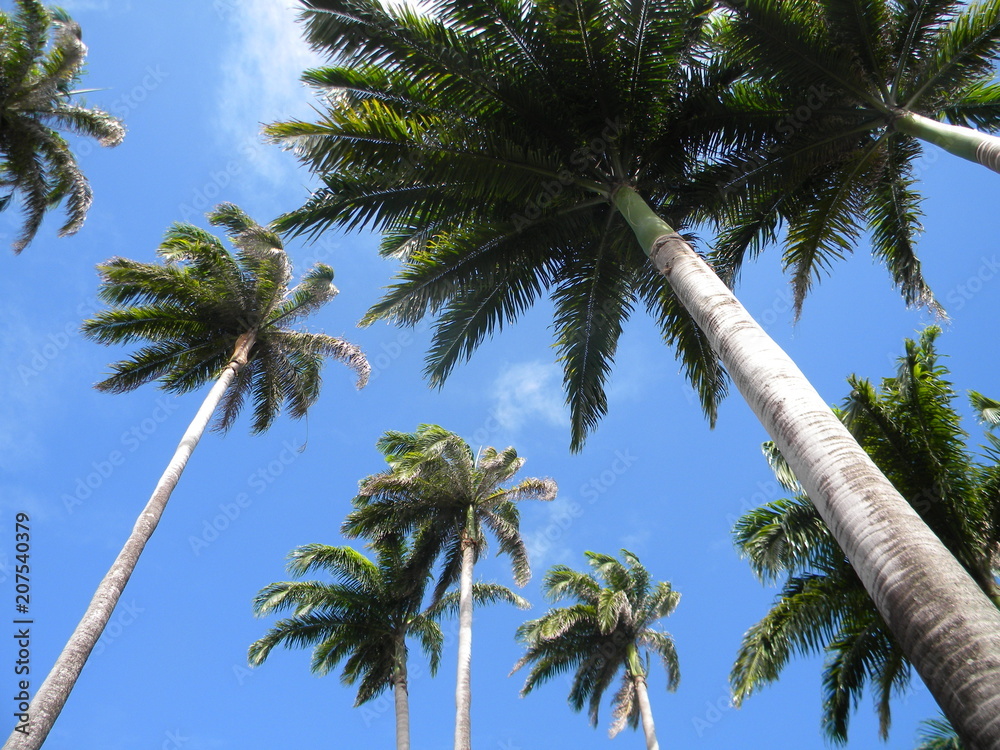 Naklejka premium Guadeloupe