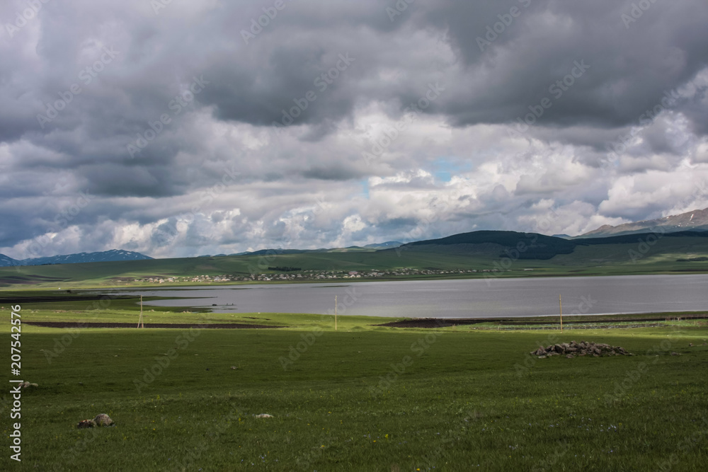 green meadow near tsalka lake