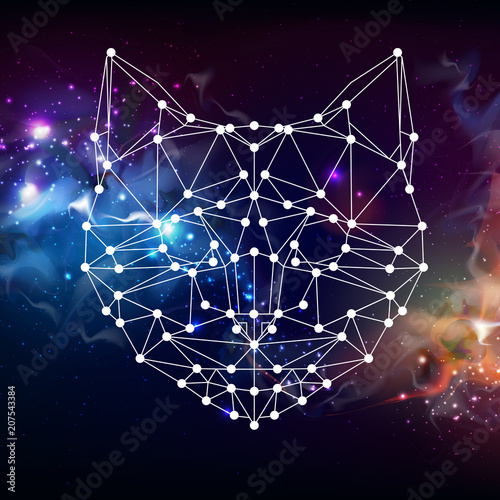 Abstract polygonal tirangle animal cat on open space background. Hipster animal illustration. photo