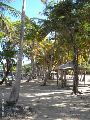 Guadeloupe
