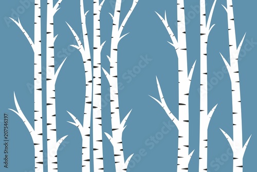 Background with birch wood.