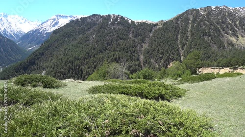 Panoramic view of snowy mountains and mountains covered with green trees