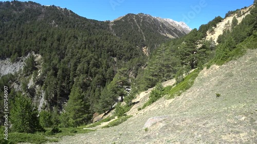 Mountain forest panoramic view