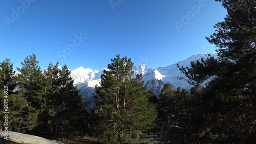 Mountain forest view with snowy mountains and a blue sky background