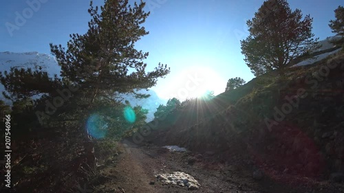 A hiking pathway in the mountain forest with the sun shining through the trees