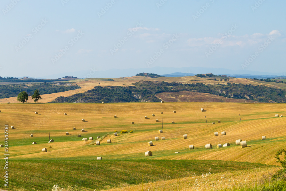 Fototapeta premium Tuscany hills landscape, Italy