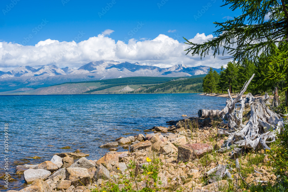 Obraz premium Wild nature of Mongolia. A beautiful view of Lake Hovsgol and the Eastern Sayan Ridge on a sunny summer day