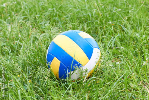  The ball is in the grass.