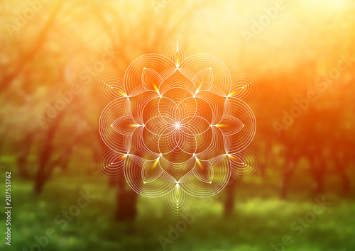 Vector template of banner, horizontal format; Spiritual sacred geometry; "Flower of life" and lotus on psychedelic natural forest photographic background; Yoga, meditation and relax.