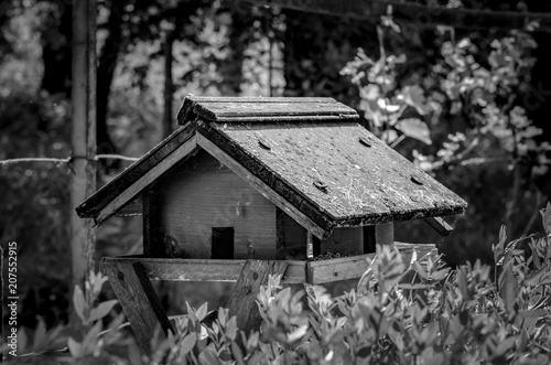 Old birdhouse © Attila