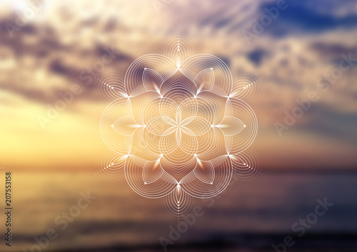 Vector template of banner, horizontal format; Spiritual sacred geometry; "Flower of life" and lotus on psychedelic natural forest photographic background; Yoga, meditation and relax.