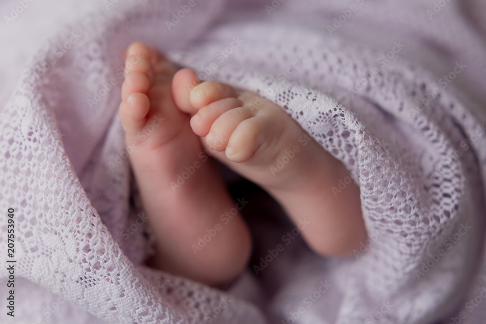 Legs Of A Newborn Baby Baby s Feet Baby Feet On Purple Background legs-of-a-newborn-baby-baby-s-feet-baby-feet-on-purple-background