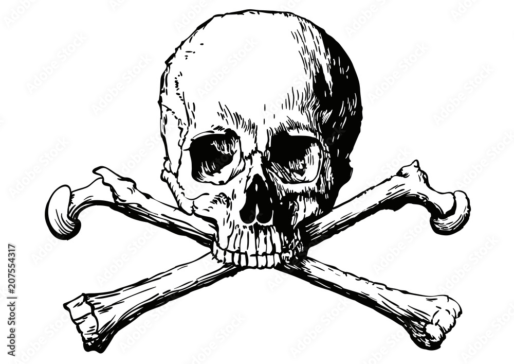 Vector illustration of a human skull and two bones Stock Vector Adobe