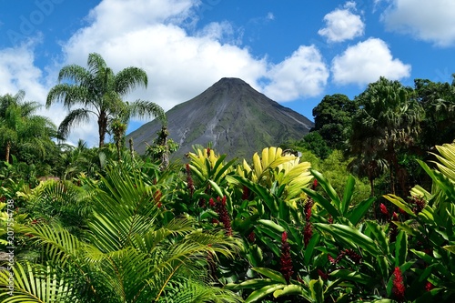 Fotografie, Obraz Arenal volcano