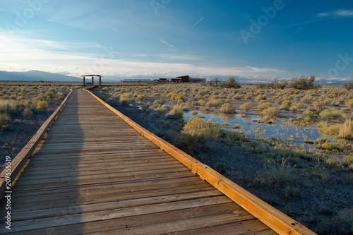 Ash Meadows Boardwalk © Dominic Gentilcore